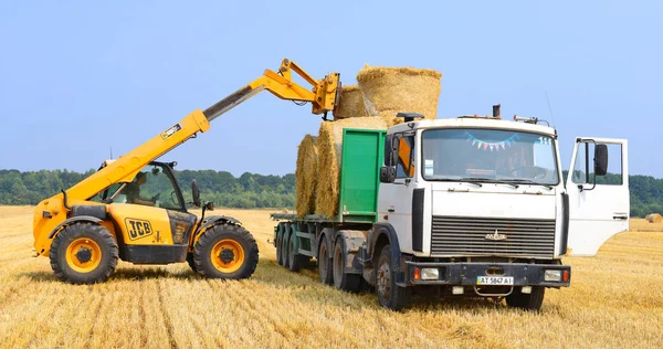 Kalush Ucrania Agosto Cargador Universal Cosechando Paja Campo Cerca Ciudad — Foto de Stock