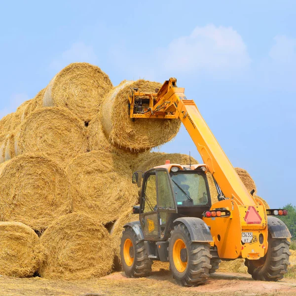 Kalusch Ukraine August Universallader Erntet Stroh Auf Einem Feld Der — Stockfoto