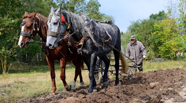 Kalush Ucraina Settembre 2017 Messa Riposo Campo Parte Aratro Manuale — Foto Stock