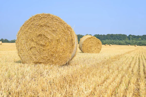 Récolte Paille Dans Paysage Rural Photos De Stock Libres De Droits