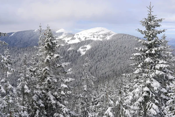 Hiver Sur Une Colline Dans Paysage Montagne — Photo