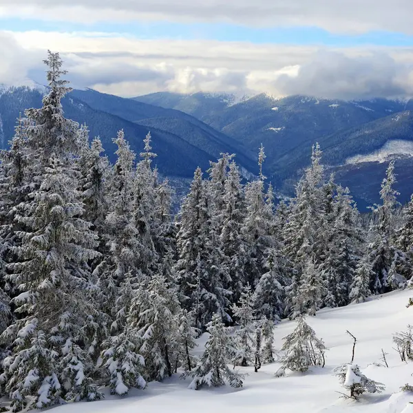 Hiver Sur Une Colline Dans Paysage Montagne — Photo