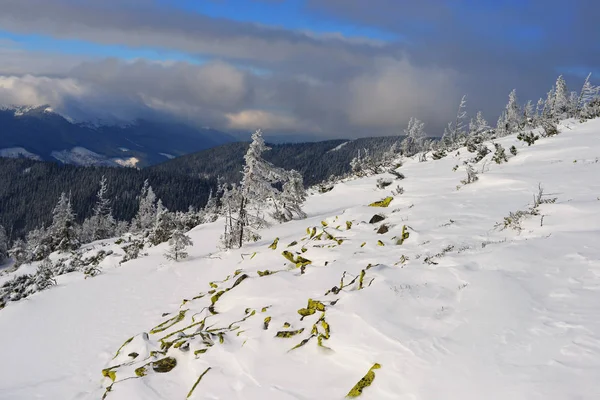 Inverno Una Collina Paesaggio Montano — Foto Stock