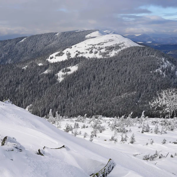 Inverno Una Collina Paesaggio Montano — Foto Stock