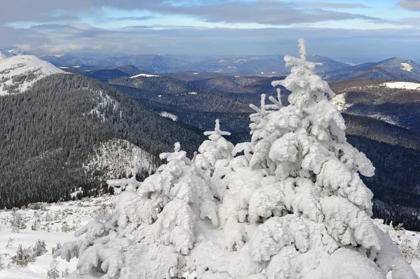 Hiver Sur Une Colline Dans Paysage Montagne — Photo