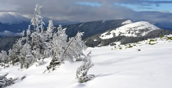 Invierno Una Ladera Paisaje Montaña —  Fotos de Stock