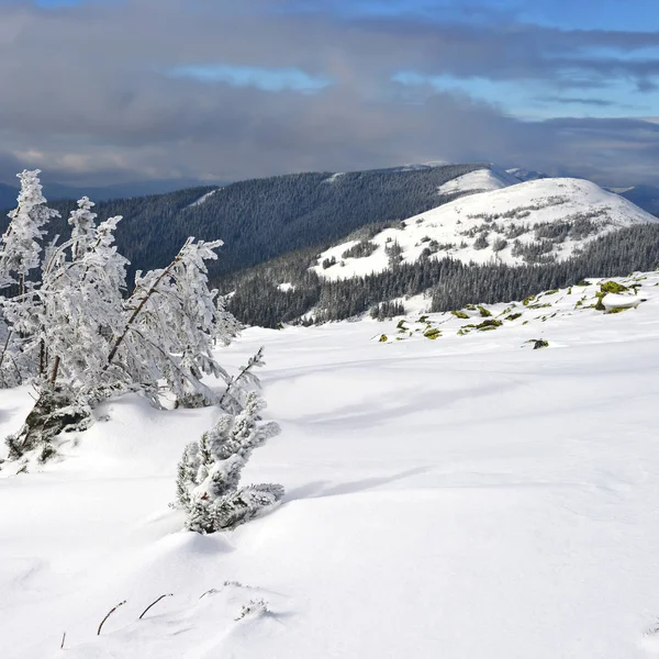 Inverno Una Collina Paesaggio Montano — Foto Stock