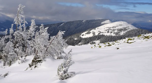 Inverno Una Collina Paesaggio Montano — Foto Stock