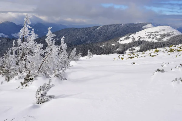 Hiver Sur Une Colline Dans Paysage Montagne — Photo