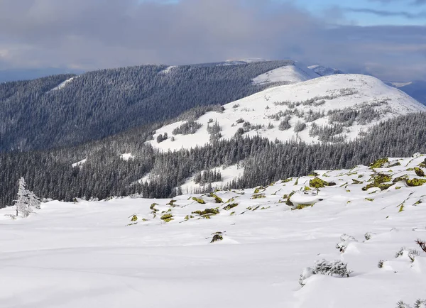 Invierno Una Ladera Paisaje Montaña —  Fotos de Stock