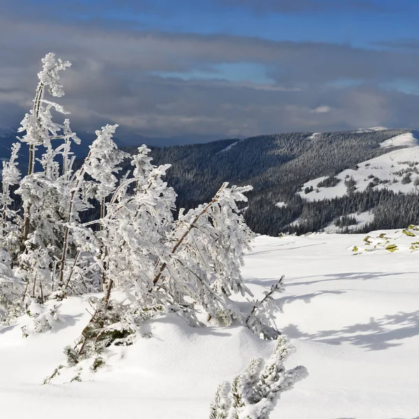 Inverno Una Collina Paesaggio Montano — Foto Stock