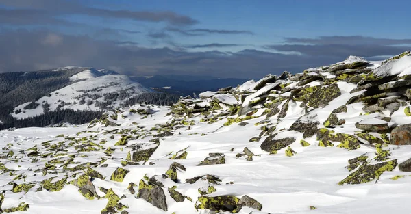 Hóval Borított Erdő Hegyi — Stock Fotó