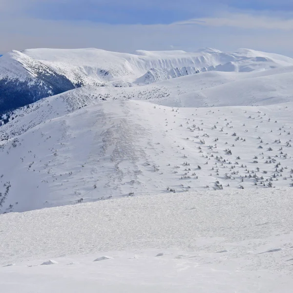 Χειμώνας Στην Πλαγιά Ενός Λόφου Μέσα Ένα Τοπίο Βουνού — Φωτογραφία Αρχείου