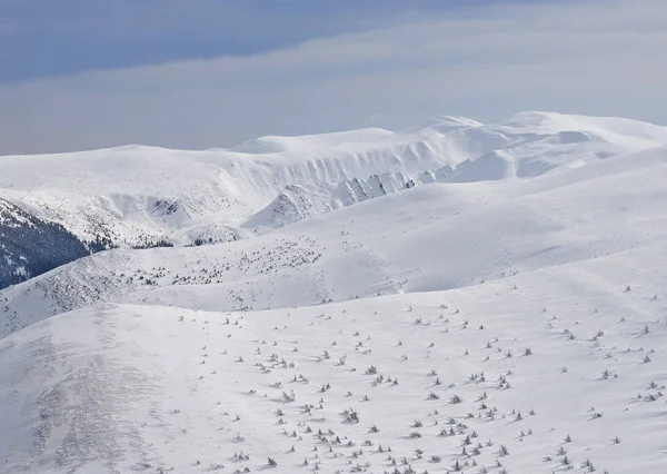 Vintern Bergssluttning Ett Bergslandskap — Stockfoto