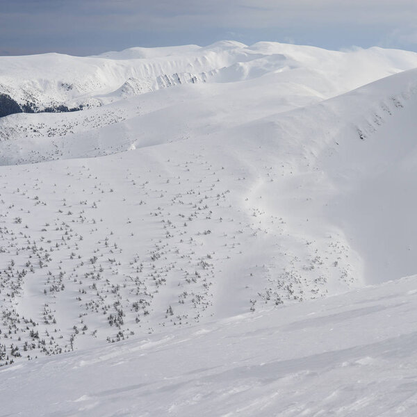 Winter on a hillside in a mountain landscape.