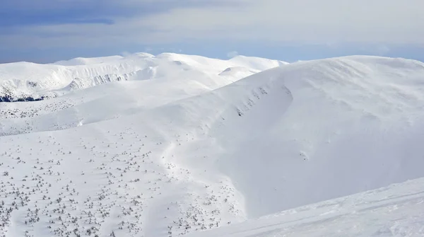 Invierno Una Ladera Paisaje Montaña — Foto de Stock