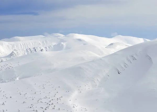 Winter Een Heuvel Een Berglandschap — Stockfoto