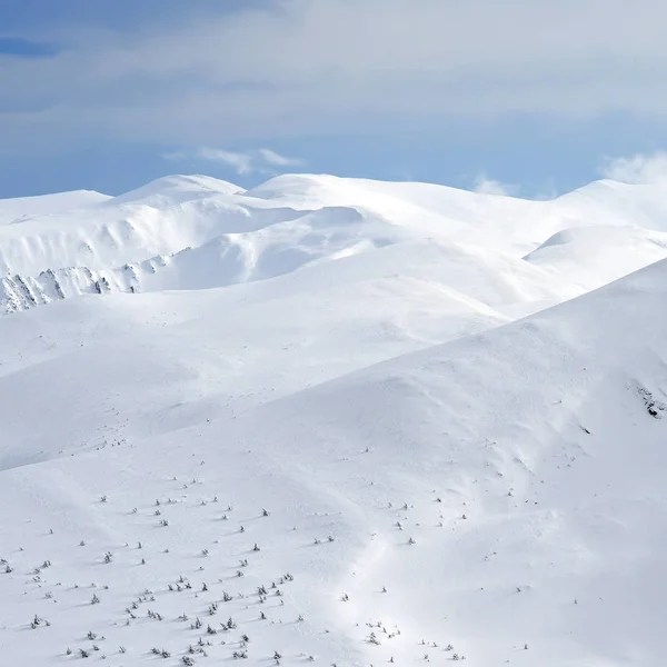 Зима Склоне Холма Горном Пейзаже — стоковое фото