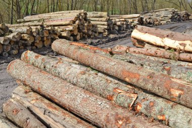 Hazırlık ve ahşap depo endüstriyel bir peyzaj.