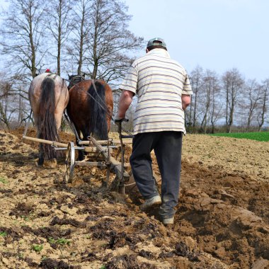 Kalush, Ukrayna - 4 Nisan 2016: Batı Ukrayna 'nın Kalush kenti yakınlarında elle çekilen bir at sürücüsü tarafından bir bahar tarlasına izin verilmesi.