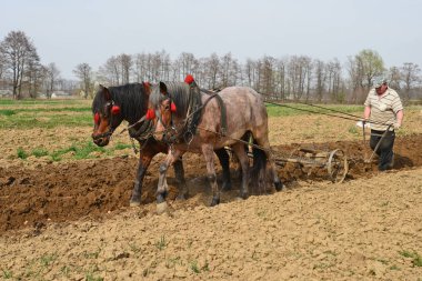 Kalush, Ukrayna - 4 Nisan 2016: Batı Ukrayna 'nın Kalush kenti yakınlarında elle çekilen bir at sürücüsü tarafından bir bahar tarlasına izin verilmesi.