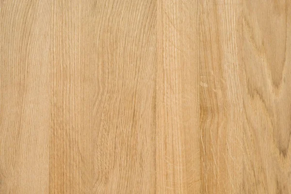 Ett Fragment Trä Panel Lövträd Oak — Stockfoto