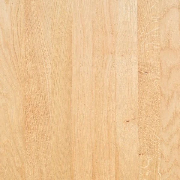 Ett Fragment Trä Panel Lövträd Oak — Stockfoto