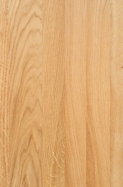 Ett Fragment Trä Panel Lövträd Oak — Stockfoto