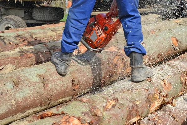 Worker Cutting Ground Chainsaw — Photo