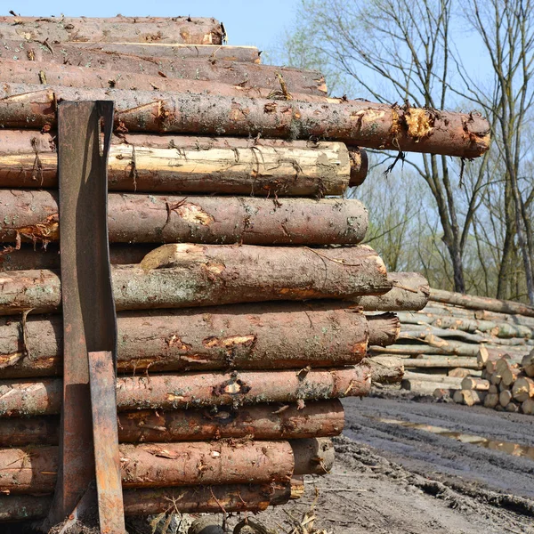 Voorbereiding Hout Opslag Een Industrieel Landschap — Stockfoto