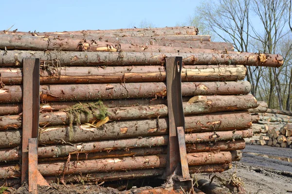 Préparation Entreposage Bois Dans Paysage Industriel — Photo