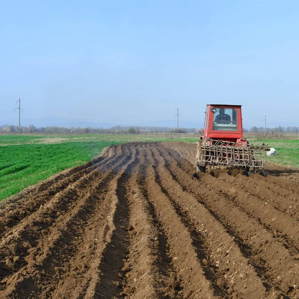 Kalush Ukraine April Planting Potatoes Town Kalush Western Ukraine April — Zdjęcie stockowe