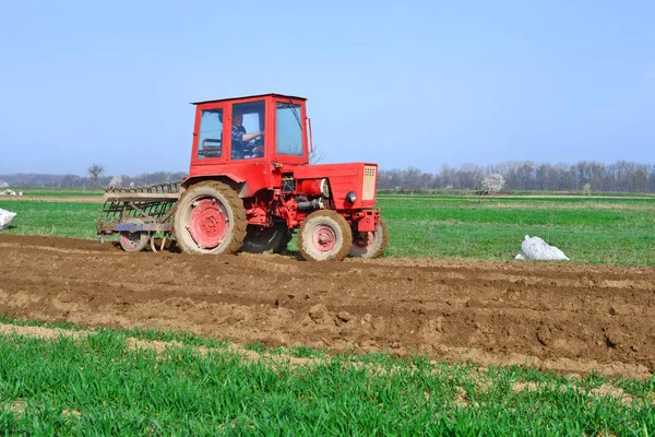 Kalush Ukraine April Planting Potatoes Town Kalush Western Ukraine April — Zdjęcie stockowe