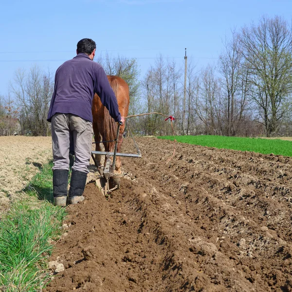 Kalush Ucrânia Abril Plantio Batatas Perto Cidade Kalush Oeste Ucrânia — Fotografia de Stock