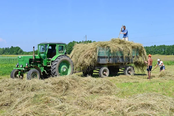 Kalush Ukraine May 2016 Harvesting Hay Town Kalush Western Ukraine — Φωτογραφία Αρχείου