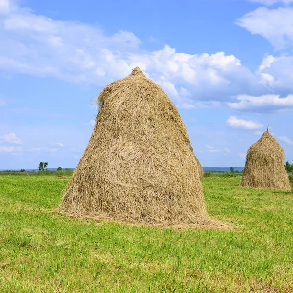 Hay Stapels Een Landelijke Landschap Van Zomer — Stockfoto