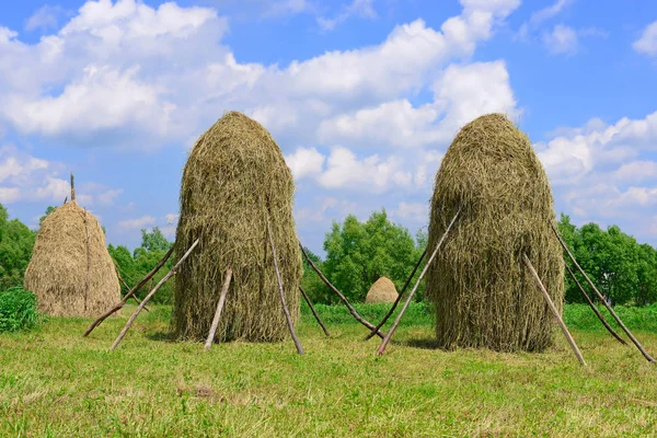 Hay Stapels Een Landelijke Landschap Van Zomer — Stockfoto
