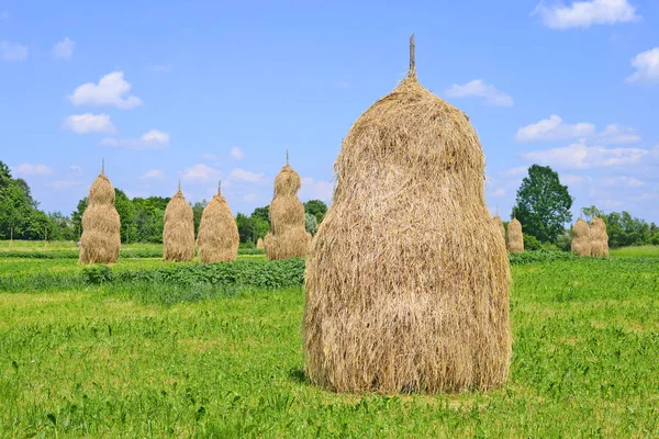 Heno Las Pilas Paisaje Veraniego Rural —  Fotos de Stock