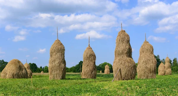 Feno Pilhas Uma Paisagem Rural Verão — Fotografia de Stock