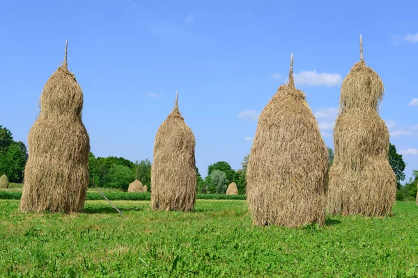 Heno Las Pilas Paisaje Veraniego Rural — Foto de Stock