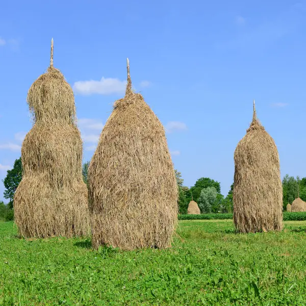 Heno Las Pilas Paisaje Veraniego Rural —  Fotos de Stock