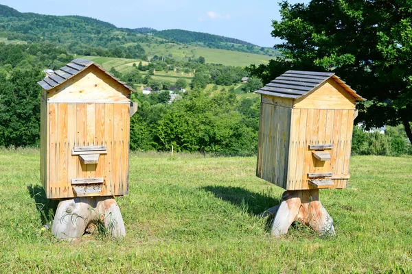 Bee Hives Summer Landscape — ストック写真