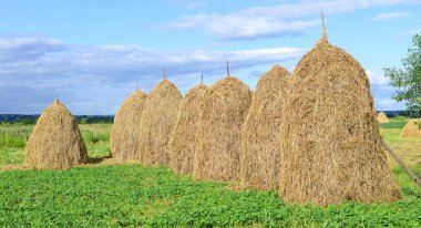 yığın yaz kırsal manzara içinde saman