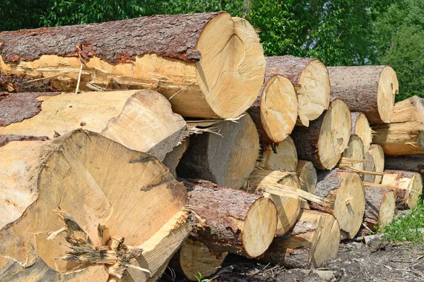 Preparazione Deposito Del Legno Paesaggio Industriale — Foto Stock