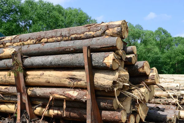 Préparation Entreposage Bois Dans Paysage Industriel — Photo