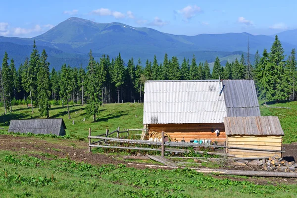 Vorokhta Ucrânia Julho 2016 Pastores Casa Verão Pasto Montanha Kukul — Fotografia de Stock