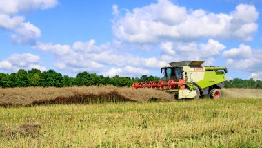Kalush, Ukrayna 20 Temmuz 2018: Modern Claas hasat hasat Mısır gevreği şehrin Kalush, Ukrayna, birleştirmek..