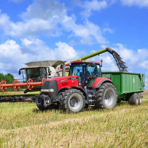 Kalush Ucrânia Julho 2018 Claas Modernas Combinam Colheitadeira Colheita Cereais — Fotografia de Stock