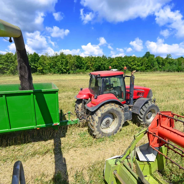 Kalush Ukraine August 2017 Reloading Rape Grain Trailer Body Heavy — Stockfoto