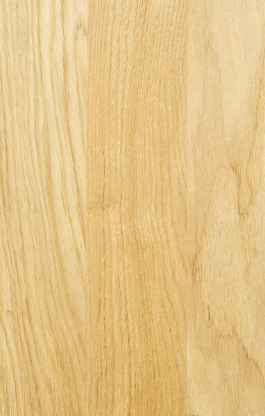 A fragment of a wooden panel hardwood. 